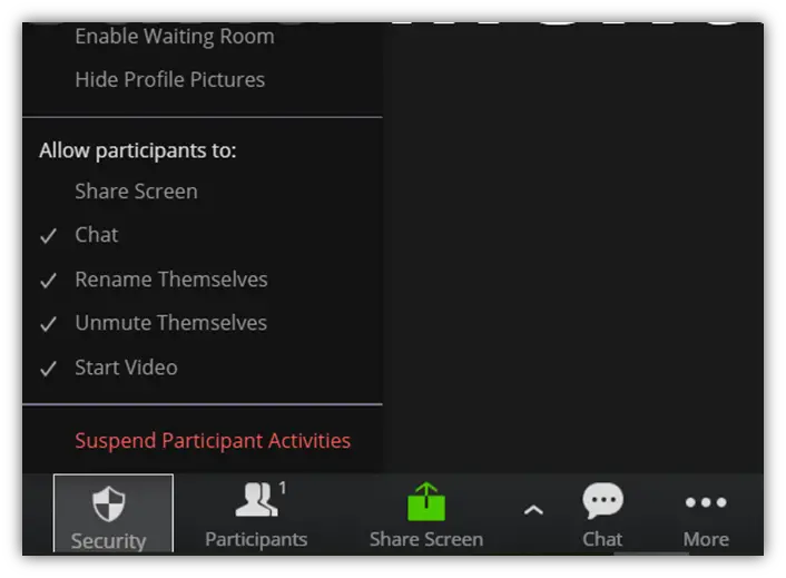 Zoom聊天會議中的屏幕截圖，顯示了暫停參與者活動的位置