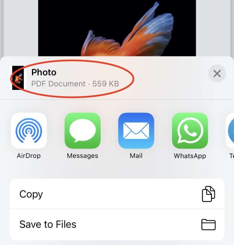 iPhone將照片轉換為 PDF