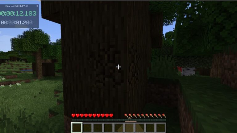 最佳 Minecraft 速通計時器
