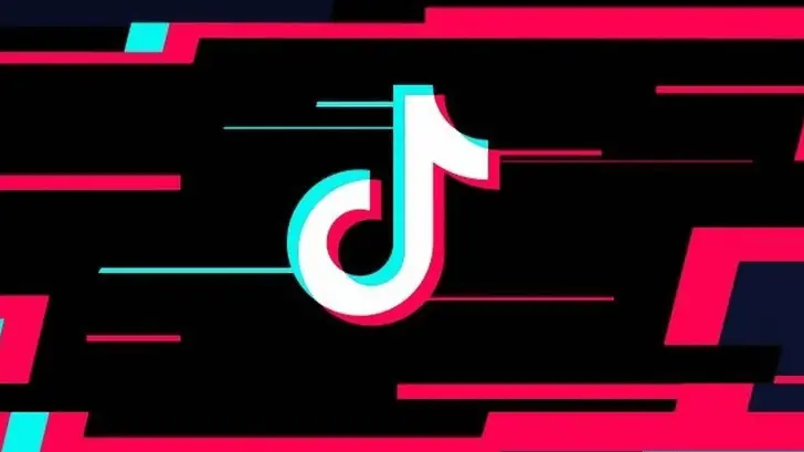 如何在 TikTok 上使用“定格”效果