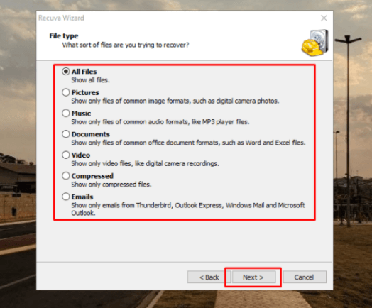 如何恢復已刪除或損壞的文件（Windows 和 Android） - Recuva - 選擇文件類型
