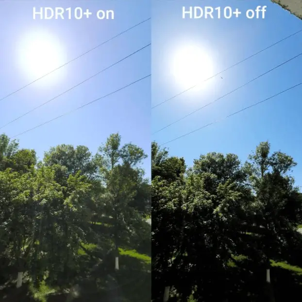 HDR10 + 以暗色調呈現更多信息，就像上圖中樹木的陰影一樣