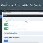 Perfmatters 插件 – 優化 WordPress 網站的完美方式