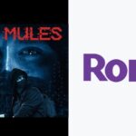 如何在 Roku 上觀看 2000 只騾子 [5 Ways]