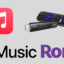 如何在 Roku 設備上安裝和播放 Apple Music