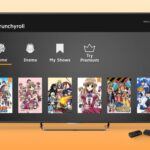 如何在 Roku 上安裝和觀看 Crunchyroll