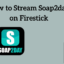 如何在 Firestick 設備上觀看 Soap2day