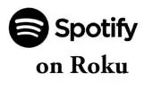如何在 Roku 上安裝和播放 Spotify