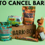 如何以 4 種方式取消 BarkBox 訂閱