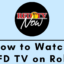 如何在 Roku 上安裝和觀看 RFD 電視