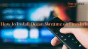 如何在 Firestick 上安裝 Ocean Streamz