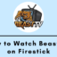 如何在 Firestick 上安裝和觀看 Beast TV
