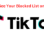 如何在 TikTok 上查看您的黑名單