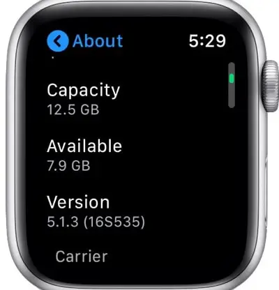 檢查 Apple Watch 上的容量和可用空間