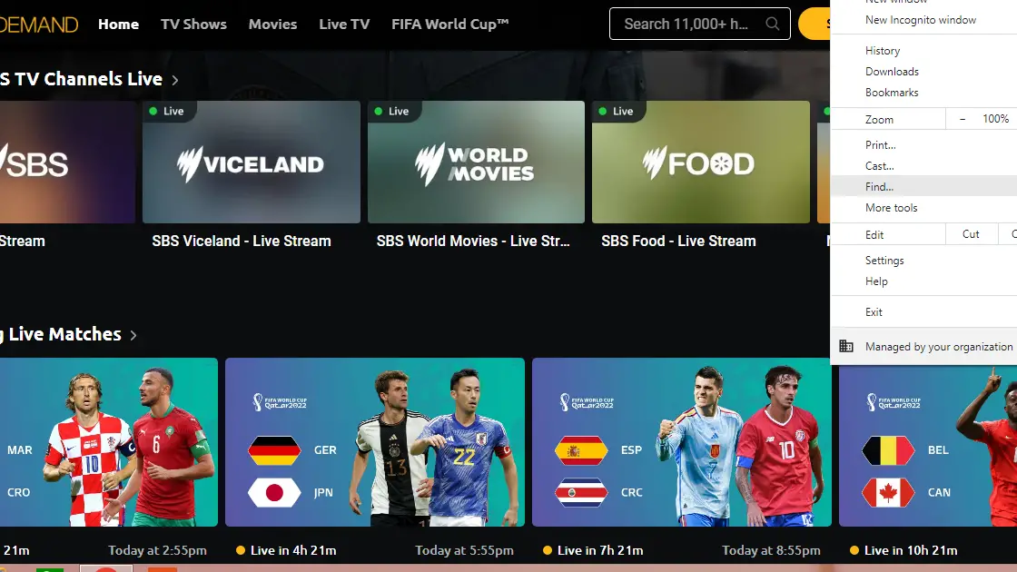 單擊投射選項以點播 Chromecast SBS