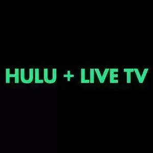 使用 Hulu + 直播電視在 Firestick 上播放 NBC