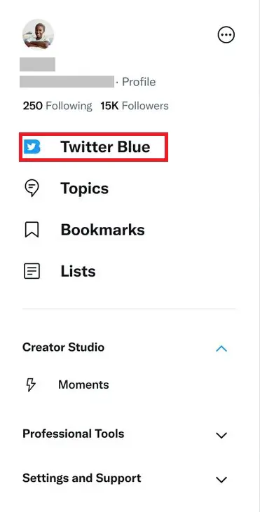 iOS 上的 Twitter 藍色