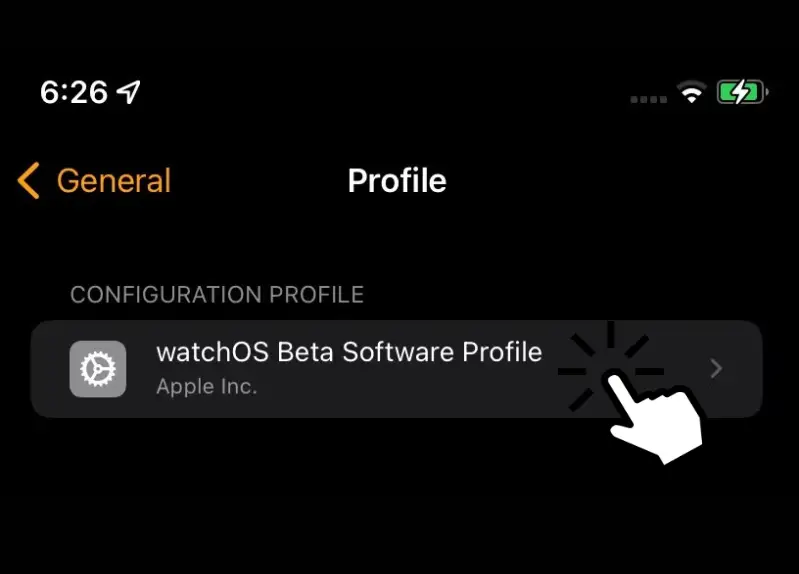 單擊 WatchOS Beta 配置文件
