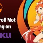 修復 Crunchyroll 在 Roku 上不起作用的 8 種方法