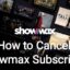 如何取消 2023 年的 Showmax 訂閱