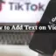 如何向 TikTok 視頻添加文本 [iPhone & Android]