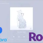 如何在 Roku 和 Roku TV 上播放 Pandora