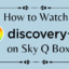 如何在Sky Q Box上觀看Discovery Plus