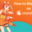 如何屏蔽或刪除 Crunchyroll 上的廣告