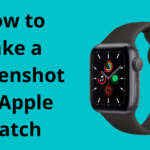 如何在 Apple Watch 上截圖