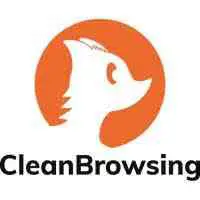 CleanBrowsing DNS 服務器