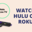 如何在 Roku 上安裝和觀看 Hulu