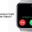如何在 Apple Watch 上接聽電話 [Tips & Tricks]
