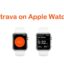 如何在 Apple Watch 上安裝和使用 Strava
