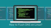 如何在 Linux 上刷新 DNS [4 Different Methods]