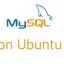 如何在 Ubuntu (Linux) 上安裝 MySQL