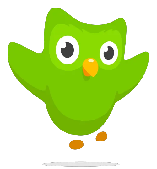 Duolingo - 適用於 Chromebook 的教育應用程序