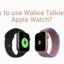 如何在 Apple Watch 上使用對講機