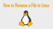 如何在 Linux 中重命名文件 [4 Easy Methods]