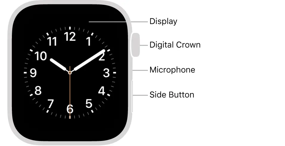 如何使用蘋果手錶？