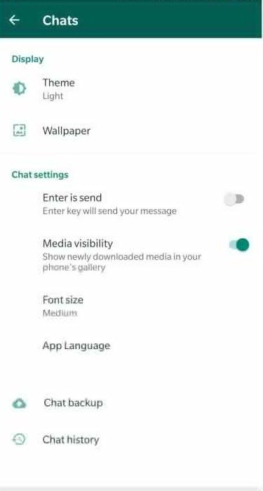 主題 - 如何啟用 WhatsApp 黑暗模式?