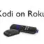 Roku 上的 Kodi：如何安裝和使用它