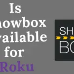 Roku 上的 Showbox - 觀看免費電影的簡單方法
