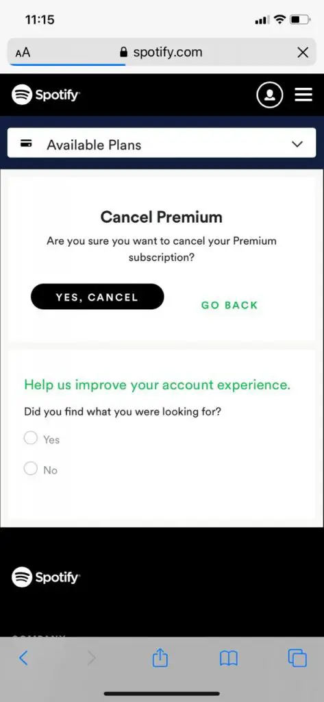 iPhone 上的 Spotify Premium