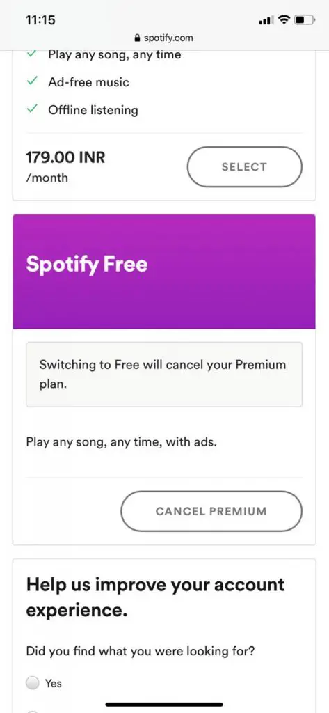 iPhone 上的 Spotify Premium