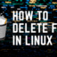 如何在 Linux 中刪除文件和目錄