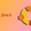 如何在 Ubuntu 上安裝 Java [3 Easy Ways]