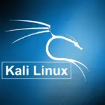 如何安裝 Kali Linux [Steps with Screenshots]