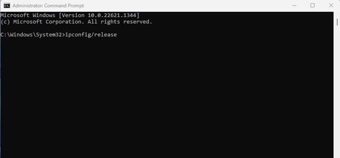 ipconfig/發行版